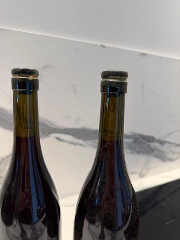 2022 Domaine Dandelion Rosie Red - Hautes Côtes de Beaune