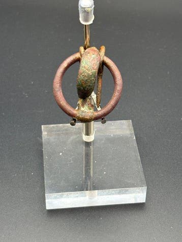 Celtique Bronze Fibule annulaire, - 35 mm