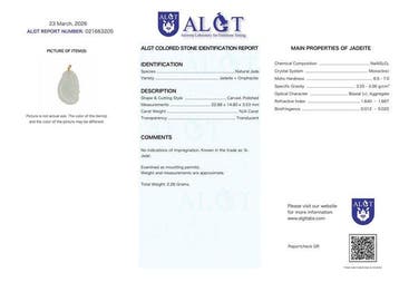 Geen Reserve - ALGT Gecertificeerd - Grote en Zeer