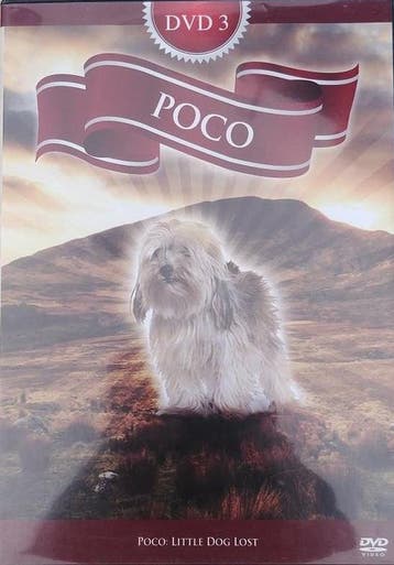 Poco 3 (DVD), Verzenden, Nieuw in verpakking