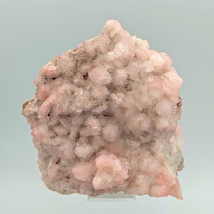 Elegante MANGANOCALCITE ROSA, Bloemige mantel 15 cm, Verzamelen, Mineralen en Fossielen