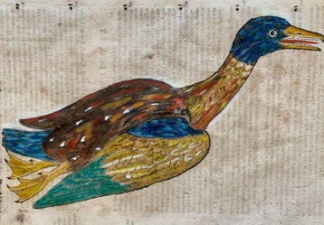 Conrad Gesner - Vogelbuch - 1617