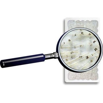 Petra Aqua Levende Witte muggenlarven (zakje 90 ml.), Verzenden