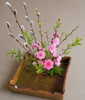 Vaas - Shigaraki Ware () bloemvaas / Ikebana suiban –