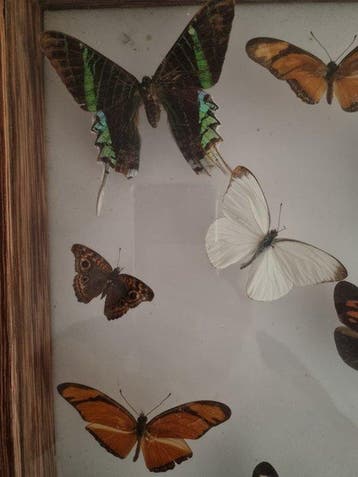 Wanddecoratie, Nieuw