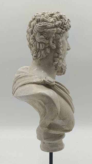 sculptuur, Busto di Lucio Vero - 40 cm - marmerpoeder