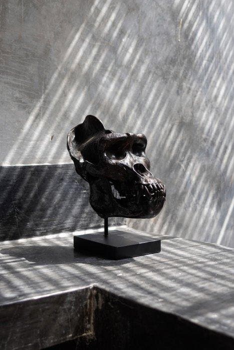 Sculpture, Western Gorilla Skull, cast in the finest, Antiek en Kunst, Kunst | Designobjecten