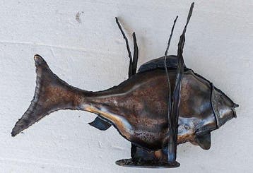 Tihomir Sarajcic (1980) - FISH