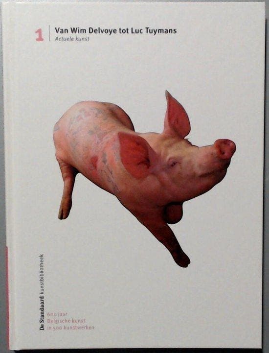 Van Wim Delvoye tot Luc Tuymans 9789020974072 Ann Cesteleyn, Boeken, Overige Boeken, Zo goed als nieuw, Verzenden