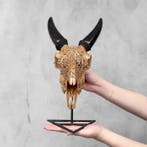 Geen minimumprijs - Authentieke uitgehouwen bruine geiten