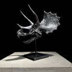 GEEN VEILINGKOSTEN - Replica van een Triceratops-dinosaurus