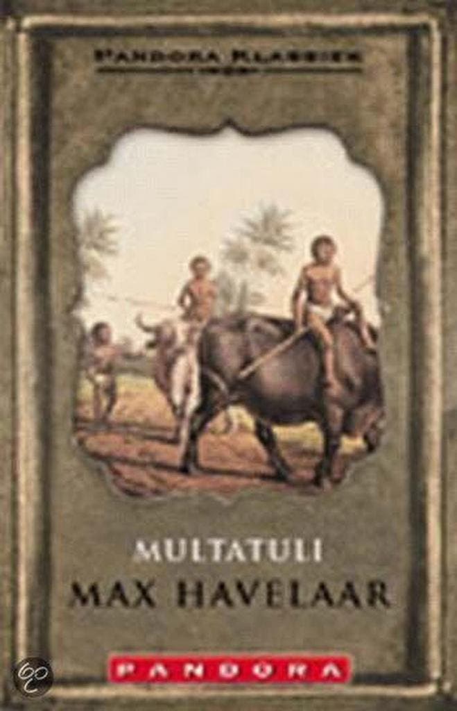 Max Havelaar / Pandora klassiek 9789025419516 Multatuli, Livres, Romans, Envoi