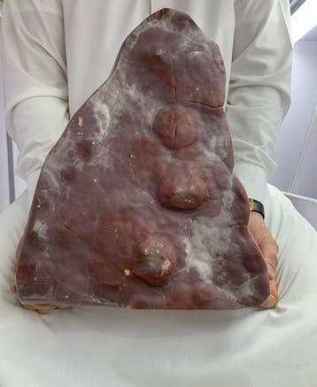 Red Onyx Vrije vorm - Hoogte: 35.5 cm - Breedte: 23 cm-