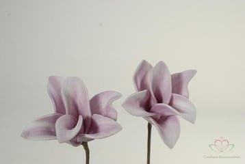 Cymbidium Flower Skin Foambloem 12 stuks, Nieuw