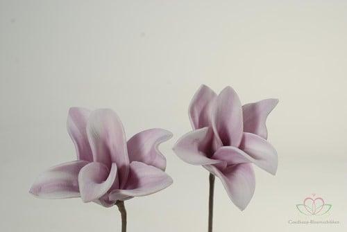 Cymbidium Flower Skin Foambloem 12 stuks, Hobby & Loisirs créatifs, Bricolage