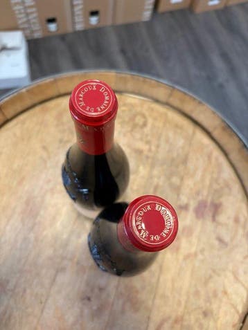 2010 Domaine de Marcoux - Châteauneuf-du-Pape - 2 Flessen, Nieuw
