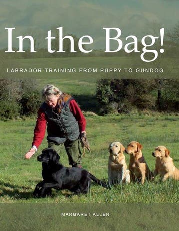 In the Bag! 9780719841248 Margaret Allen, Verzenden, Zo goed als nieuw, Margaret Allen