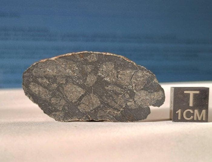 NWA 13571 - Eucriet-smeltbreccie, volledige plak - Hoogte:, Verzamelen, Mineralen en Fossielen