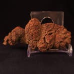 142 g 9,90 × 4,50 cm fossiele coproliet van een dinosaurus