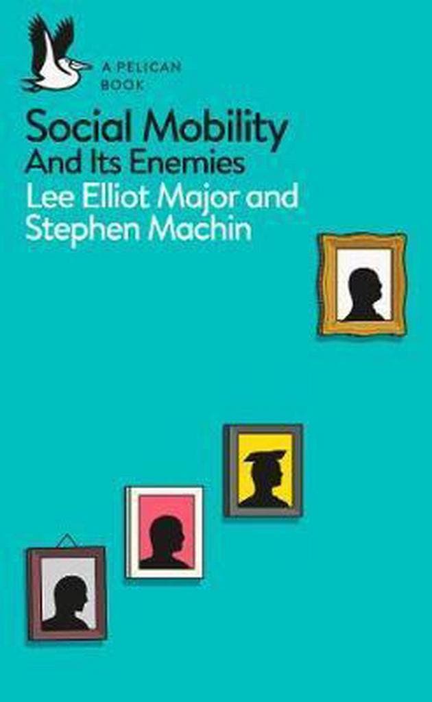 Social Mobility 9780241317020 Lee Elliot Major, Boeken, Taal | Engels, Gelezen, Verzenden