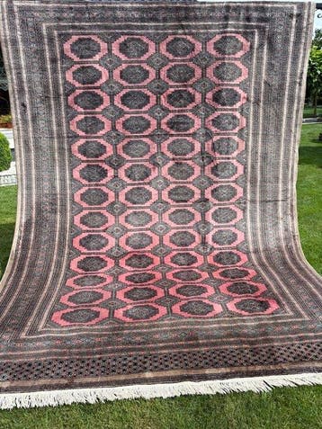 Top Pakistan tapijt lijkt op kasjmier. - Tapijt - 350 cm -, Nieuw