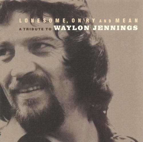 Various - Lonesome, Onry And Mean (A Tribute To Waylon Jenn, Cd's en Dvd's, Cd's | Pop, Gebruikt, Verzenden