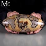 Shiva Lingam van Septaria: Interne alchemie voor, Verzamelen