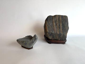 Steen, Hout - Japanse suiseki () – Seta-rivier “Tora-ishi