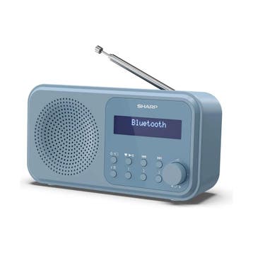 SHARP DR-P420(BL) Tokyo DAB+ radio, Bluetooth 5.3, staalb..., Ophalen of Verzenden