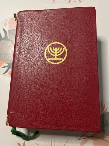 Bíblia Sagrada versão dos textos Antigo - 1981