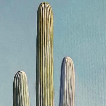 Alexy Berthelot - Duo géant cactus pool