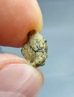 Mars meteoriet, Tarkint 001. (Olivine-phyric shergottiet). -