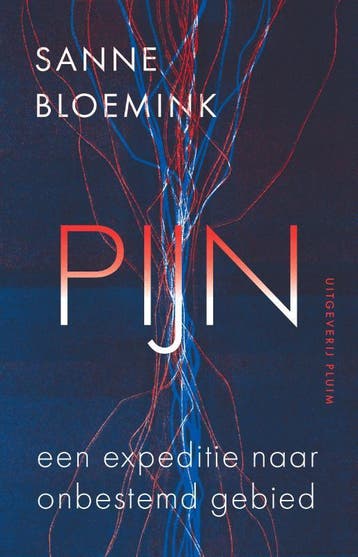 Pijn 9789493304703 Sanne Bloemink, Verzenden, Sanne Bloemink