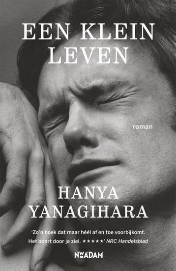 Een klein leven 9789046820315 Hanya Yanagihara, Verzenden, Gelezen, Hanya Yanagihara
