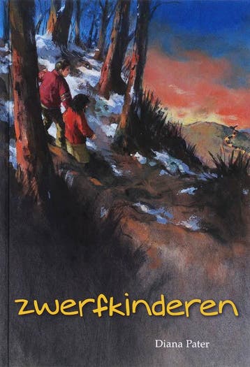 ZWERFKINDEREN 9789033628917 Diana Pater, Verzenden, Diana Pater