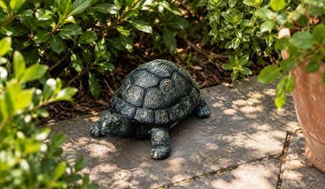 sculptuur, Schildpad - 9.5 cm - GIETIJZER