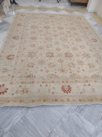 Pakistan - Vloerkleed - 269 cm - 368 cm - Rug Royal Ziegler, Nieuw