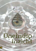 Oneindig inzicht 9789048411368 Karina de Jong-Kamstra, Boeken, Verzenden, Zo goed als nieuw, Karina de Jong-Kamstra