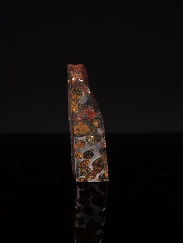 Météorite de Sericho Pallasites - 46 g - (1)