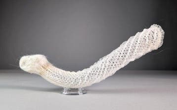Éponge-panier à fleurs de Vénus Squelette - Euplectella, Nieuw