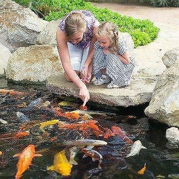 SuperFish Pond Alarm - Reigerverjager / Vijver Alarm, Dieren en Toebehoren, Ophalen of Verzenden, Nieuw, Superfish