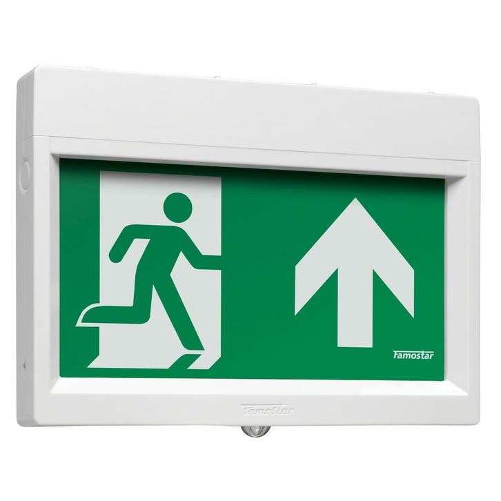 Famostar Go ! Luminaire De Secours - 391864, Doe-het-zelf en Bouw, Bouwverlichting, Verzenden