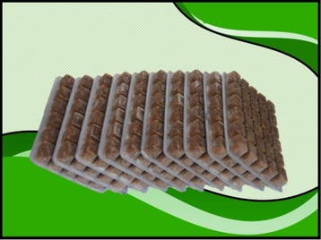 Artemia 10x100 gram diepvriesvoer (Visvoeding), Dieren en Toebehoren, Verzenden, Nieuw