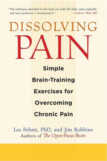 Dissolving Pain 9781590307809 Les Fehmi, Verzenden, Les Fehmi