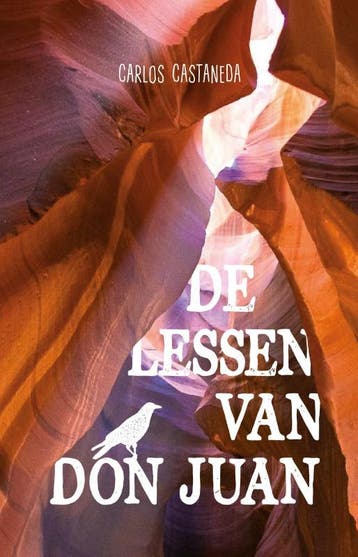 De lessen van Don Juan 9789076681351 Carlos Castaneda, Boeken, Verzenden, Gelezen, Carlos Castaneda