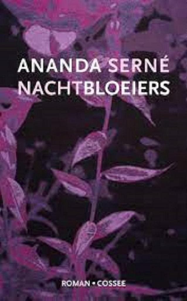 Nachtbloeiers 9789464520187 Ananda Serné, Boeken, Romans, Zo goed als nieuw, Verzenden