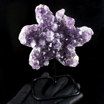 Beeld, No Reserve - Amethyst Crystal on matrix - Height: 147