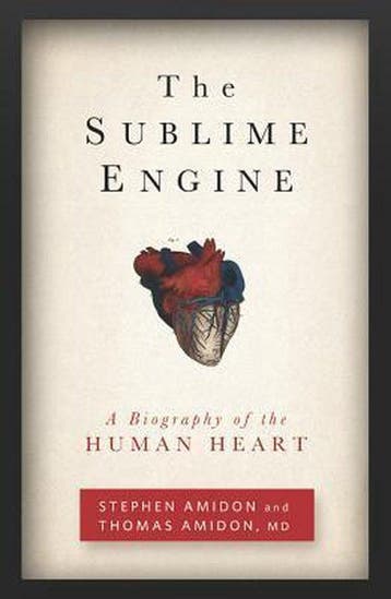 The Sublime Engine 9781609613792 Stephen Amidon, Verzenden, Stephen Amidon