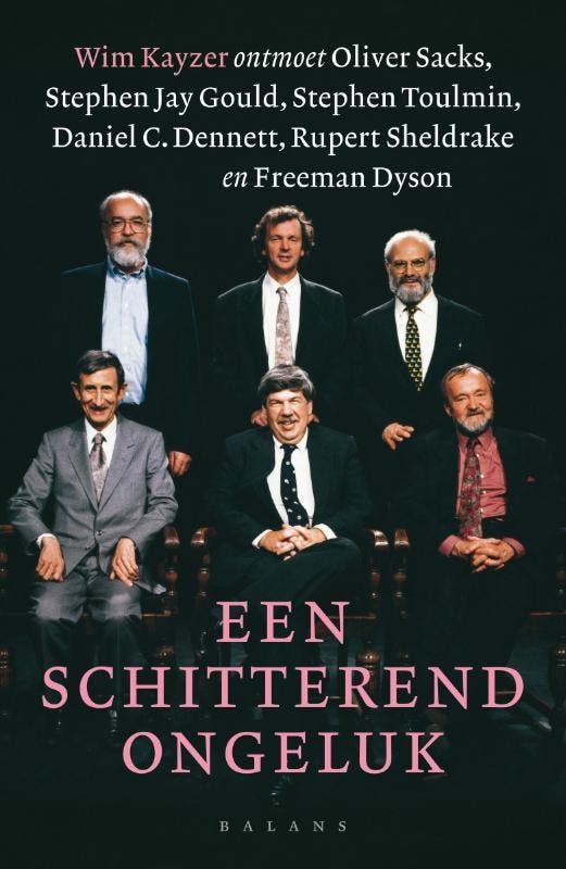 Een schitterend ongeluk 9789050189156 W. Kayzer, Boeken, Politiek en Maatschappij, Gelezen, Verzenden