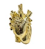 Decoratief ornament - Seletti - Marcantonio Raimondi Malerba